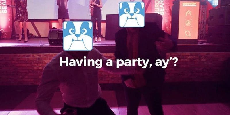 Two bulldogs partying with the text 'having a party, ay?'